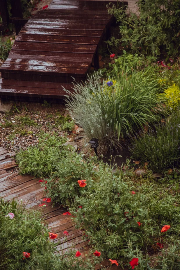 Garden path with flowers